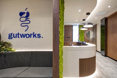 Gutworks