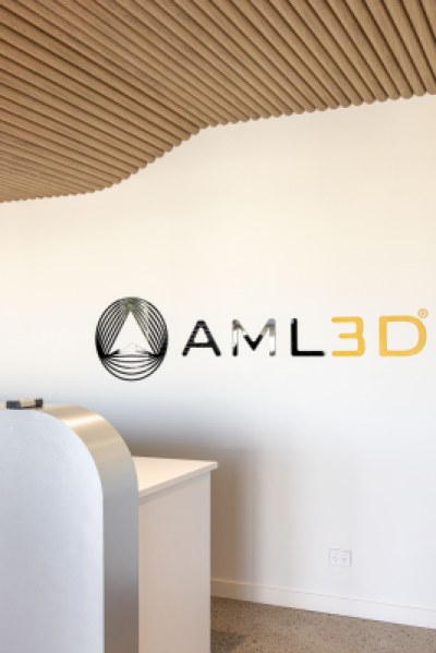 AML 3D